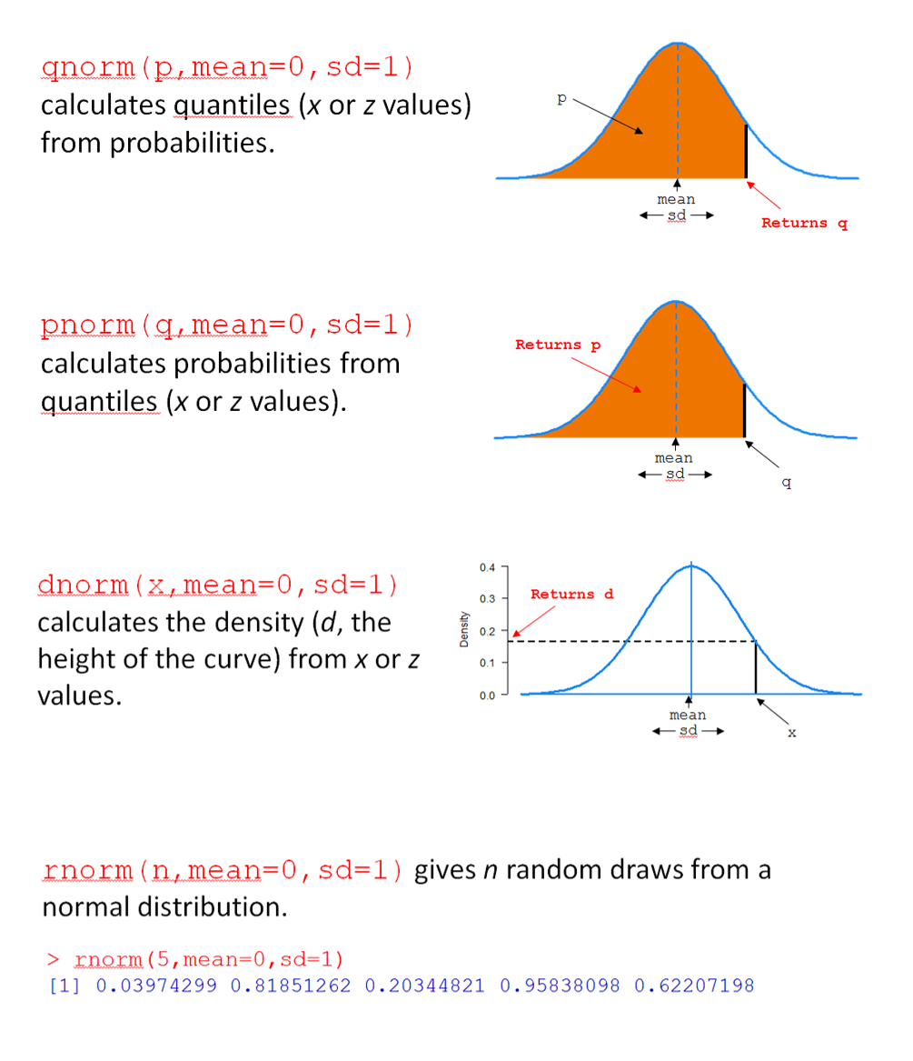 The four R function for the normal probability density function.