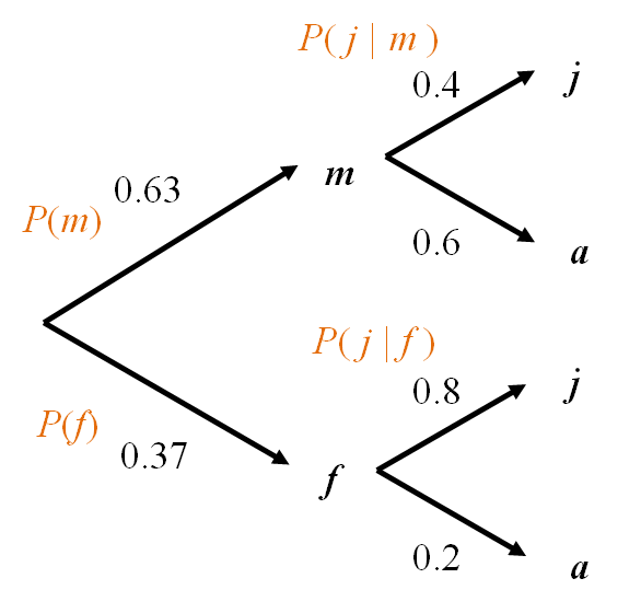 Probability tree diagram